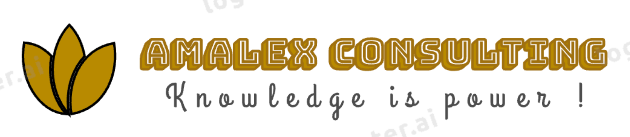 Amalex Consulting